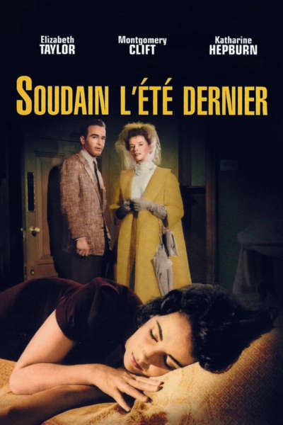 Soudain l'été dernier